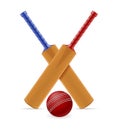 Cricket bat and ball for a sports game stock vector illustration Royalty Free Stock Photo