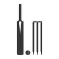 Cricket bat, ball, stumps and bails icon