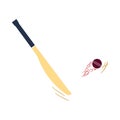 Cricket bat icon Royalty Free Stock Photo