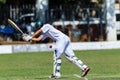 Cricket Batsman Plays Ball  Action Close-Up Action Royalty Free Stock Photo