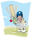 Cricket Batsman Royalty Free Stock Photo