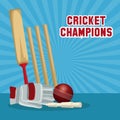 Cricket champions design Royalty Free Stock Photo