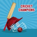 Cricket champions design Royalty Free Stock Photo