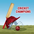 Cricket champions design Royalty Free Stock Photo