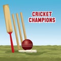 Cricket champions design Royalty Free Stock Photo