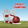 Cricket champions design Royalty Free Stock Photo