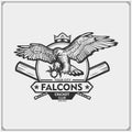 Cricket club emblem with falcon head. Print design for t-shirts.