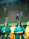 Cricket & Costumes
