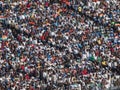 Cricket Crowd India