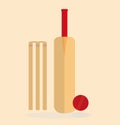 Cricket equipment flat vector illustration isolated on light background