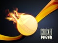 Cricket Fever concept with ball in fire flame.