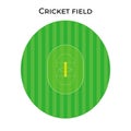 Cricket Field in real proportions, cricket stadium