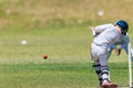 Cricket Fielder Batsman Action Royalty Free Stock Photo