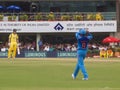 Cricket Fielder catches Royalty Free Stock Photo