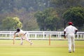 Cricket Game Royalty Free Stock Photo