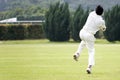 Cricket Game Royalty Free Stock Photo