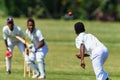 Cricket Action Bowler Ball Batsman Royalty Free Stock Photo
