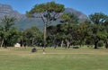 Cricket ground keeper