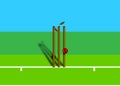 Cricket illustration.