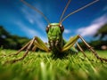 Ai Generated illustration Wildlife Concept of Cricket Insect