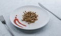 Cricket larvae dish, human nutrition revolution concept