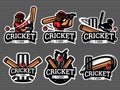 Cricket logo and badge set vector image