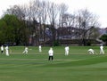 Cricket match Royalty Free Stock Photo