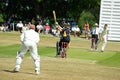 Cricket match Royalty Free Stock Photo