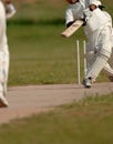 Cricket match Royalty Free Stock Photo