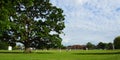 Cricket Match with Large Oak Tree within the cricket boundary Royalty Free Stock Photo