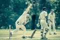 Cricket Match In The Park