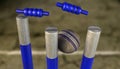 Cricket Pitch Ball And Wickets Royalty Free Stock Photo