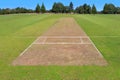 Cricket pitch empty summer sport green grass field background Royalty Free Stock Photo