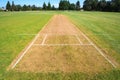 Cricket pitch field