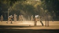 Cricket pitch during a match is eloquently portrayed in a photograph, as bowlers and batsmen engage in action, effectively