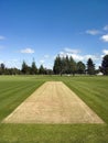 Cricket pitch in the park