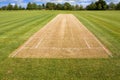 Cricket pitch sport grass field empty background Royalty Free Stock Photo