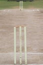 Cricket pitch with wicket and stumps, Cricket Pitch Wickets Ground Closeup Cricket field pitch`s wickets markings grounds closeup Royalty Free Stock Photo