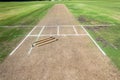 Cricket Pitch Wickets Game