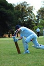 Cricket player Royalty Free Stock Photo