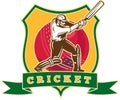 Cricket player batsman batting