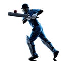 Cricket player batsman silhouette