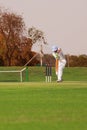 Cricket player hitting ball Royalty Free Stock Photo