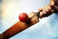 Cricket player hitting ball Royalty Free Stock Photo