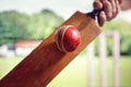 Cricket player hitting ball Royalty Free Stock Photo