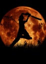 Cricket player silhouette, batsman with orange moo Royalty Free Stock Photo