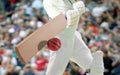 Cricket players batsman hitting ball in a stadium Royalty Free Stock Photo
