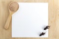 Cricket powder insect for eating and cooking food in wooden spoon with white paper mockup on wood background it is good source of Royalty Free Stock Photo