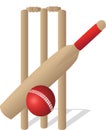 Cricket set ball bat and wickets on white background