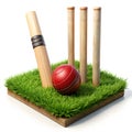 Cricket set on grass isolated on white background Royalty Free Stock Photo
